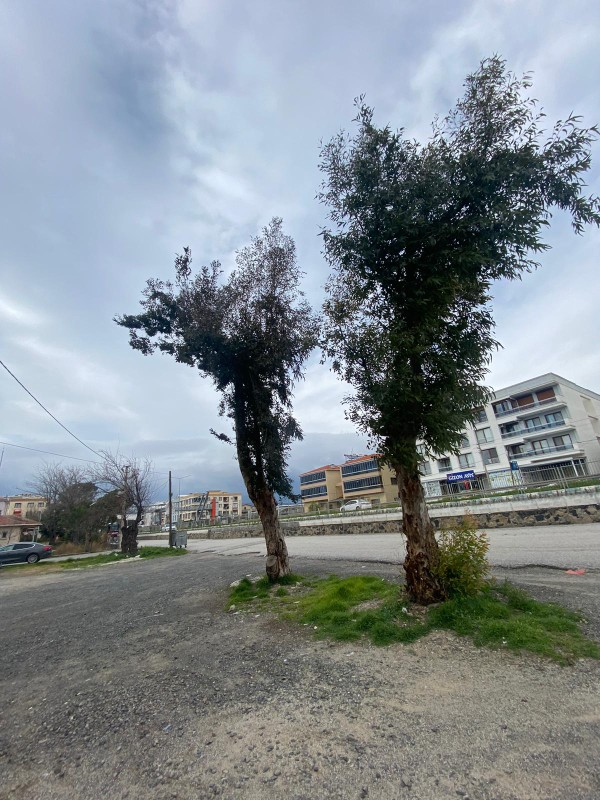 AFACAN dan Şakran da Her İşyerine Uyacak Kiralık Dükkanlar