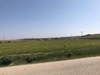 Bandırma Emlak'tan 900 Dönüm Tek Parça Satılık 1.Sınıf Sulu Tarım Arazisi