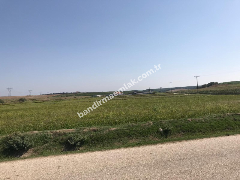 Bandırma Emlak'tan 900 Dönüm Tek Parça Satılık 1.Sınıf Sulu Tarım Arazisi