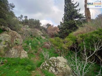 MUĞLA BODRUM GÜMÜŞLÜK MAH. SATILIK ARSA 