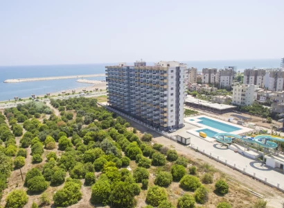 Liparis Marina Эрдэмли Современная жизнь