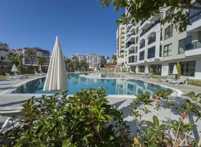 Avsallar Kurt Safir 1+1 Daire