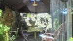 Ayvalıkta Satılık Restore Edilmiş Bahçeli Rum Evi 
