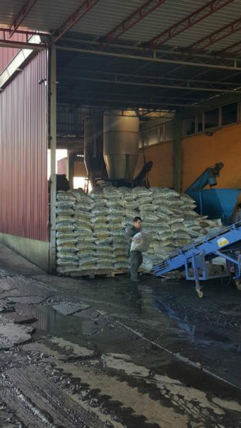 Ayvalık'ta Satılık Zeytinyağ Fabrikası Acil Satılık 