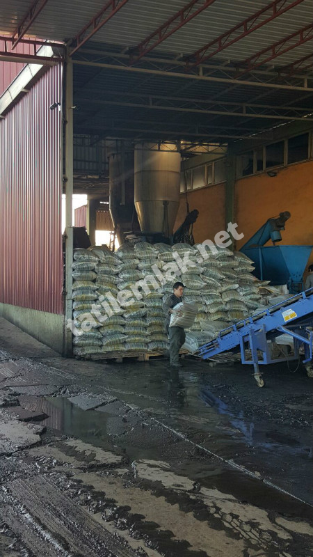 Ayvalık'ta Satılık Zeytinyağ Fabrikası Acil Satılık 