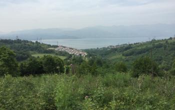 Sakarya Serdivan'da İmar Sınırında Satılık Tarla