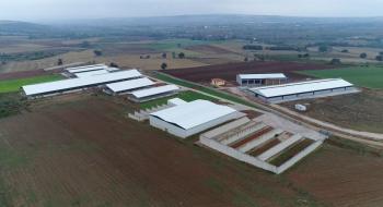 Bandırma Emlak'tan Satılık Avrupa Standartlarına Uygun 1.250 Baş Besi ve Süt Çiftliği