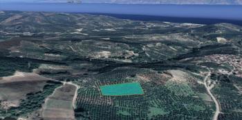 DijitalEmlak tan Mudanya Yörükali'de Satılık 8.650 m2 Deniz manzaralı Satılık Arazi.