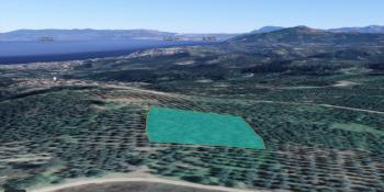DijitalEmlak tan Mudanya Yörükali'de Satılık 8.650 m2 Deniz manzaralı Satılık Arazi.