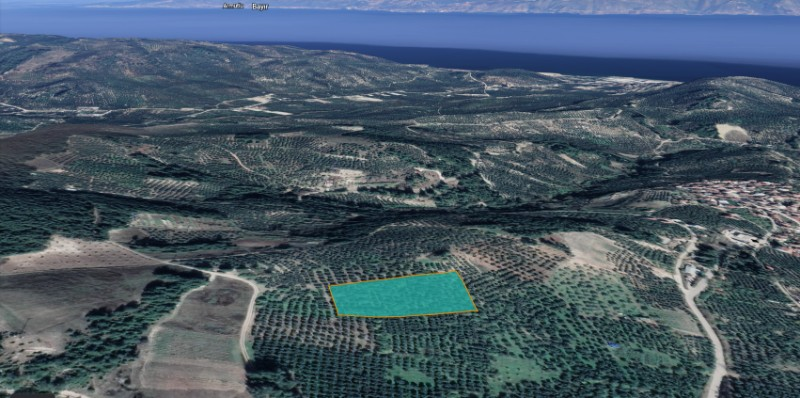 DijitalEmlak tan Mudanya Yörükali'de Satılık 8.650 m2 Deniz manzaralı Satılık Arazi.