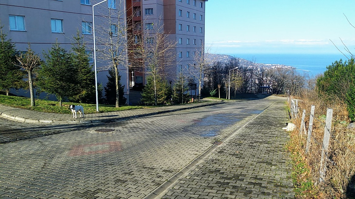 VAKFIKEBİR ESKİ TOKİ SATILIK 2+1 EV
