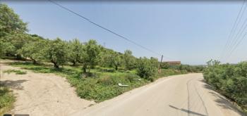 DijitalEmlak'tan Mudanya Yörükali köyü bitişiği 2.700 m2 Asfalta Cephe Kısmen İmarlı Satılık Arazi.