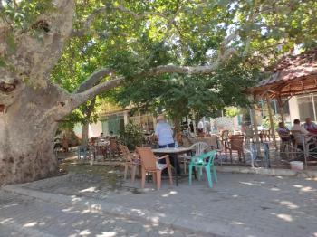 Denizli çal ortaköy mahallesinde müstakil parsel 2066 m2 satılık bağ fırsatı