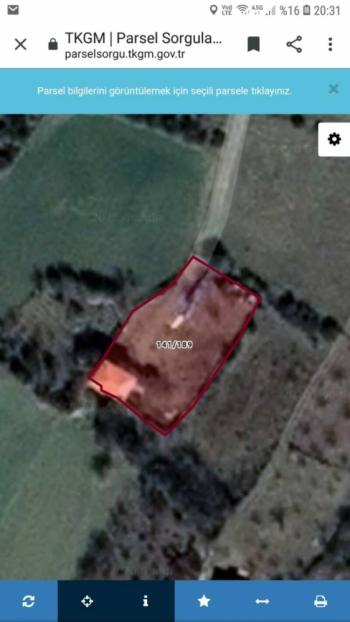 GÜVENAY - ÇORUM BOYRALI BAĞLARINDA BAKIMLI 1 DÖNÜM SATILIK BAĞ