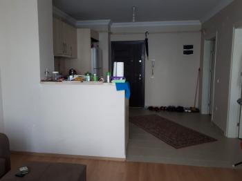 izmit alikahya kavanium evleri satilik daire