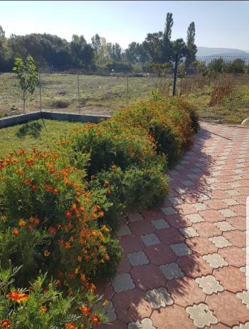 DijitalEmlak'tan Kayapa'da İmar Sınırı Hem Yatırımlık Hem Hobi Bahçesi.