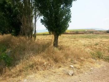 GÜVENAY - ÇORUM ANKARA YOLU CİVARINDA SATILIK ÇİFTLİK RUHSATLI 