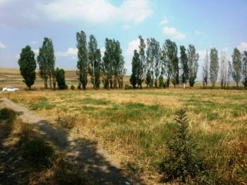 GÜVENAY - ÇORUM ANKARA YOLU CİVARINDA SATILIK ÇİFTLİK RUHSATLI 