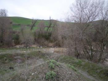 GÜVENAY - ÇORUM ALACA KAVŞAĞI İLERİSİ TARHAN CİVARINDA 8 DÖNÜM ÇİFTLİK