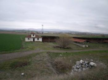 GÜVENAY - ÇORUM ALACA KAVŞAĞI İLERİSİ TARHAN CİVARINDA 8 DÖNÜM ÇİFTLİK