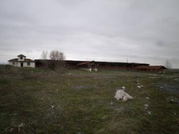 GÜVENAY - ÇORUM ALACA KAVŞAĞI İLERİSİ TARHAN CİVARINDA 8 DÖNÜM ÇİFTLİK