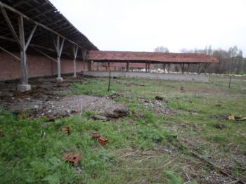 GÜVENAY - ÇORUM ALACA KAVŞAĞI İLERİSİ TARHAN CİVARINDA 8 DÖNÜM ÇİFTLİK