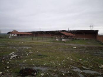 GÜVENAY - ÇORUM ALACA KAVŞAĞI İLERİSİ TARHAN CİVARINDA 8 DÖNÜM ÇİFTLİK