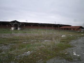 GÜVENAY - ÇORUM ALACA KAVŞAĞI İLERİSİ TARHAN CİVARINDA 8 DÖNÜM ÇİFTLİK