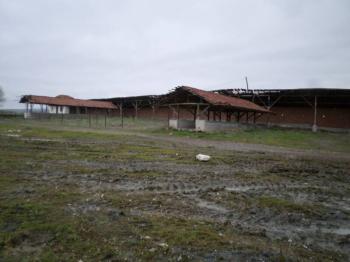 GÜVENAY - ÇORUM ALACA KAVŞAĞI İLERİSİ TARHAN CİVARINDA 8 DÖNÜM ÇİFTLİK