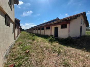 GÜVENAY - ÇORUMDA BÜYÜKBAŞ - KÜÇÜKBAŞ SATILIK ÇİFTLİK