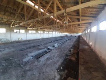 GÜVENAY - ÇORUMDA BÜYÜKBAŞ - KÜÇÜKBAŞ SATILIK ÇİFTLİK