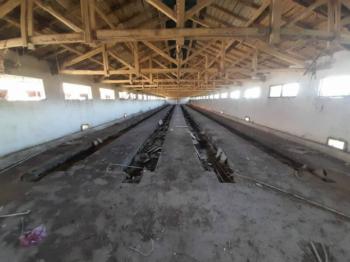 GÜVENAY - ÇORUMDA BÜYÜKBAŞ - KÜÇÜKBAŞ SATILIK ÇİFTLİK