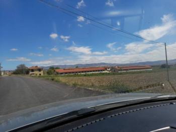 GÜVENAY - ÇORUMDA BÜYÜKBAŞ - KÜÇÜKBAŞ SATILIK ÇİFTLİK