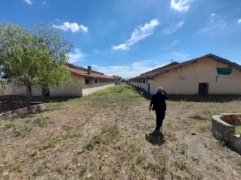 GÜVENAY - ÇORUMDA BÜYÜKBAŞ - KÜÇÜKBAŞ SATILIK ÇİFTLİK