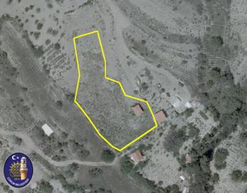 GÜVENAY - ÇORUM BARAJI GÖREN BÜĞET CİVARINDA 2,254 M2 BAĞ