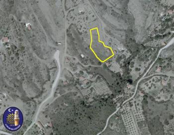 GÜVENAY - ÇORUM BARAJI GÖREN BÜĞET CİVARINDA 2,254 M2 BAĞ