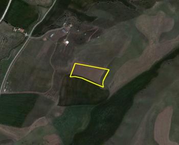 GÜVENAY - ÇORUM BAYAT GEDİĞİ HAYAT ŞIRINGA ARKASI 6 DÖNÜM HARİKA SATILIK TARLA