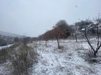 GÜVENAY - SAMSUN YOLU ATÇALI CİVARI 5,600 m² İÇİNDE EVİ BULUNAN BAĞ BAHÇE