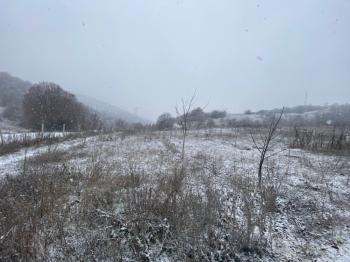 GÜVENAY - SAMSUN YOLU ATÇALI CİVARI 5,600 m² İÇİNDE EVİ BULUNAN BAĞ BAHÇE