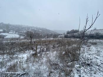 GÜVENAY - SAMSUN YOLU ATÇALI CİVARI 5,600 m² İÇİNDE EVİ BULUNAN BAĞ BAHÇE