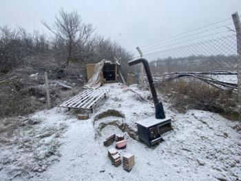 GÜVENAY - SAMSUN YOLU ATÇALI CİVARI 5,600 m² İÇİNDE EVİ BULUNAN BAĞ BAHÇE