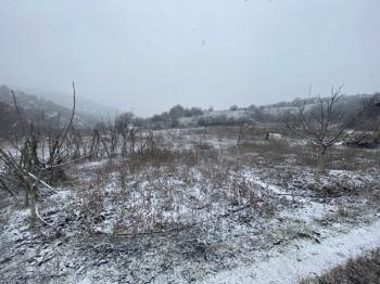 GÜVENAY - SAMSUN YOLU ATÇALI CİVARI 5,600 m² İÇİNDE EVİ BULUNAN BAĞ BAHÇE