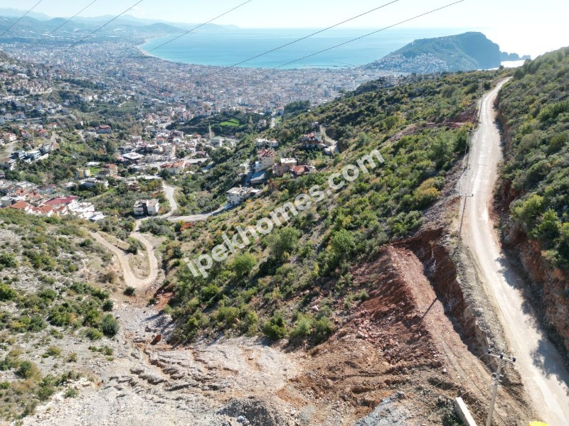 ALANYA TEPE MAHALLESİNDE VİLLA ARSASI