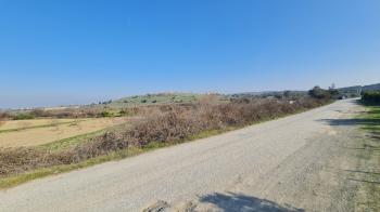 Seferihisar Düzce Azmak Koyu-Tiny House Projesi ya da Çiftlik Evine Uygun Arazi