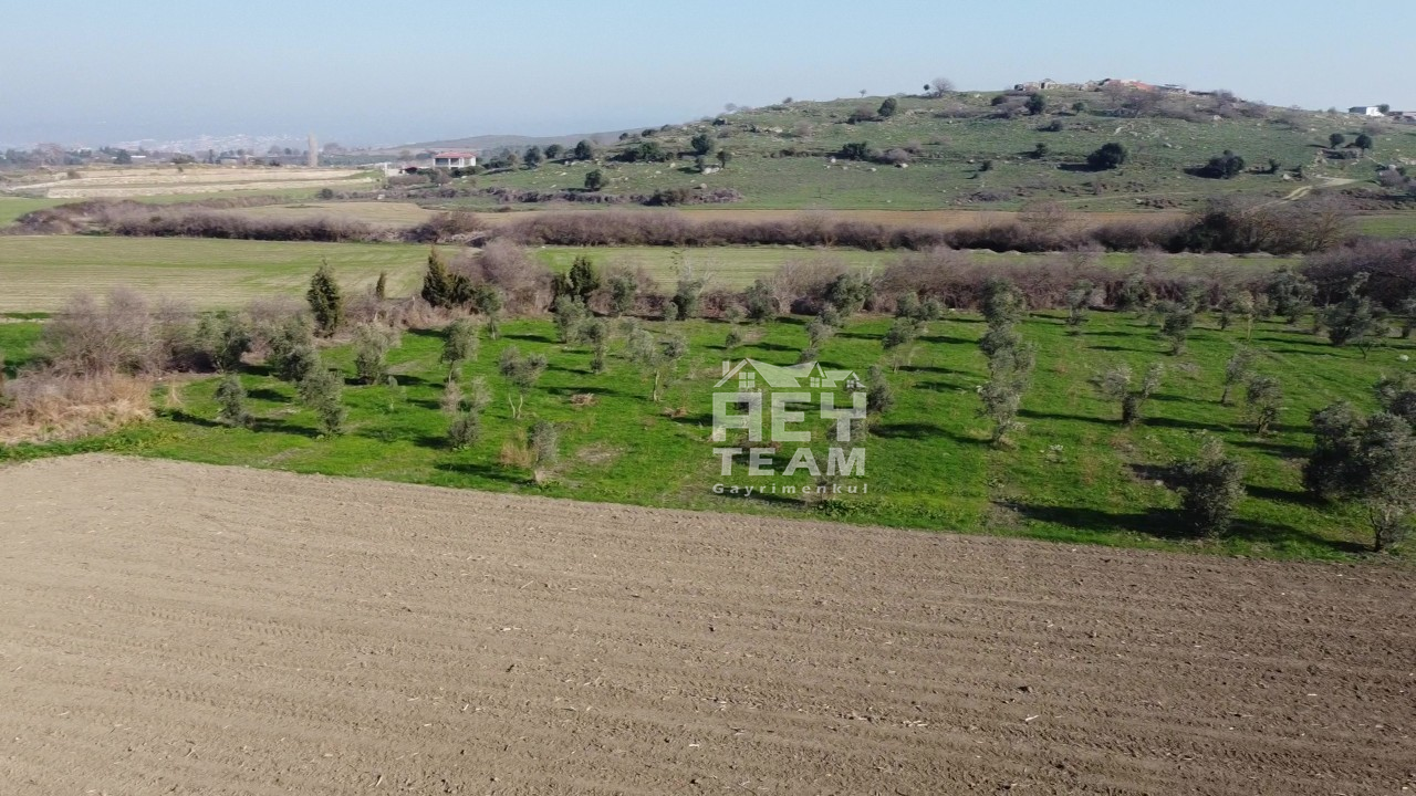 Seferihisar Düzce Azmak Koyu-Tiny House Projesi ya da Çiftlik Evine Uygun Arazi