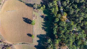 Marmaris Hisarönü Bördübet 7.522 m2 Müstakil Parsel Satılık Arazi