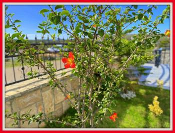 Didim'de Satılık Sıfır Villa
