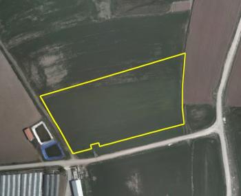 GÜVENAY - ÇORUM BAYAT GEDİĞİNDE İMARA SINIR 11,5 DÖNÜM SATILIK TARLA 