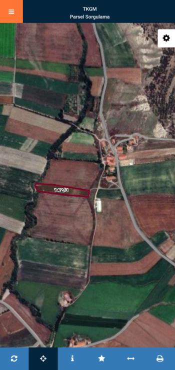 Güvenay - Çorum Ömerbey Köyünde Yola Cephe 6,5 Dönüm Satılık Tarla