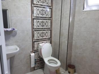 GÜVENAY - ÇORUM BOYRALI BAĞLARINDA BAKIMLI 1 DÖNÜM SATILIK BAĞ